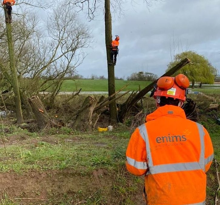 Assistant Ecologist | Hybrid Norwich
