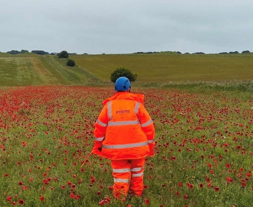 Landscape Ecologist | Southampton or Norwich considered