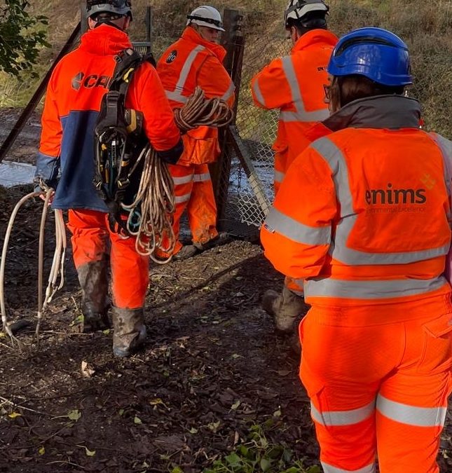 Consultant Ecologist | Kent